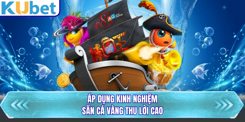 Áp dụng kinh nghiệm săn cá vàng thu lời cao