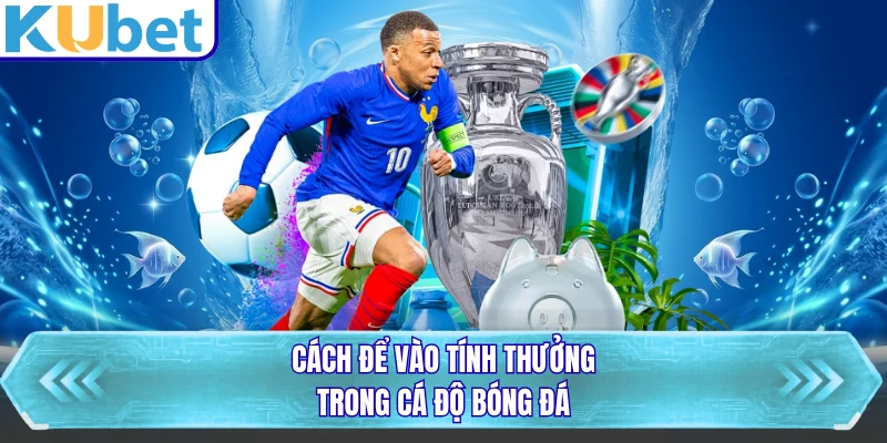 Cách để vào tính thưởng trong cá độ bóng đá