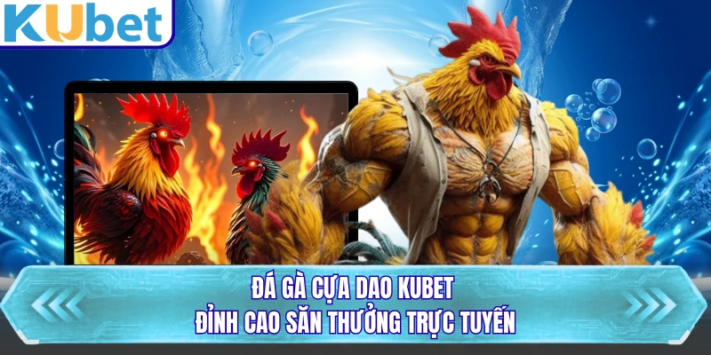 Đá Gà Cựa Dao KUBET - Đỉnh Cao Săn Thưởng Trực Tuyến