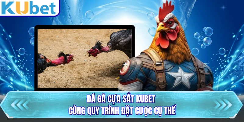 Đá gà cựa sắt KUBET cùng quy trình đặt cược cụ thể