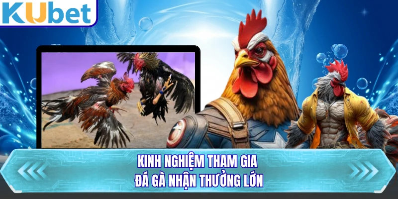 Kinh nghiệm tham gia đá gà nhận thưởng lớn