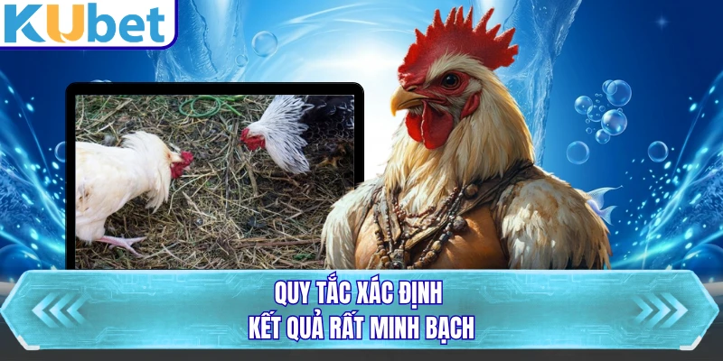 Quy tắc xác định kết quả rất minh bạch