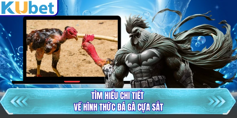 Tìm hiểu chi tiết về hình thức đá gà cựa sắt